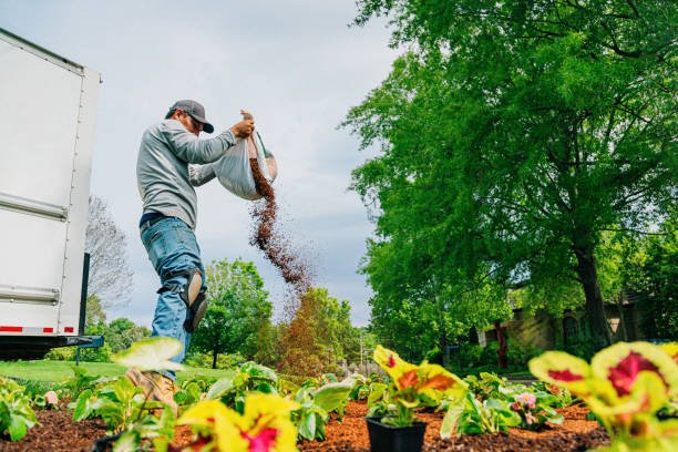 Landscaping And Groundskeeping Jobs In Australia