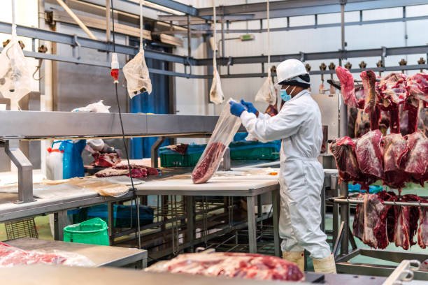 Meat Processing & Packing Jobs In Canada
