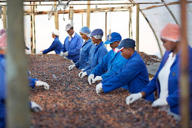 Farm Worker Jobs In Canada With Free Visa Sponsorship
