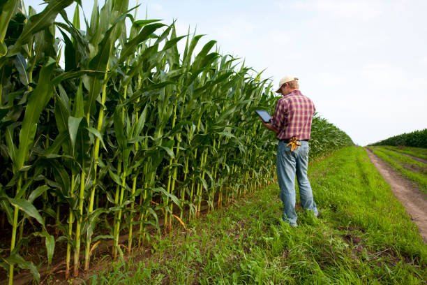 Agriculture And Farm Jobs In Canada