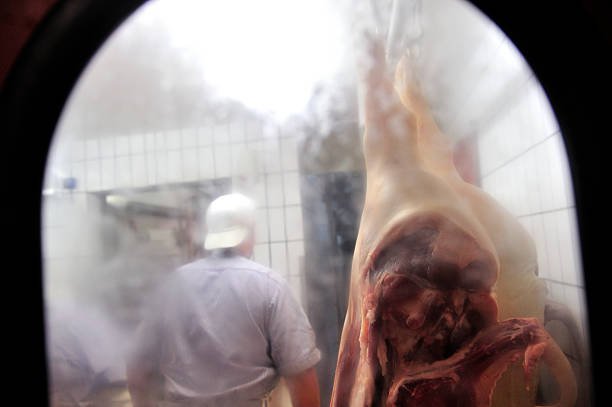 Meat Processing & Packing Jobs In Canada