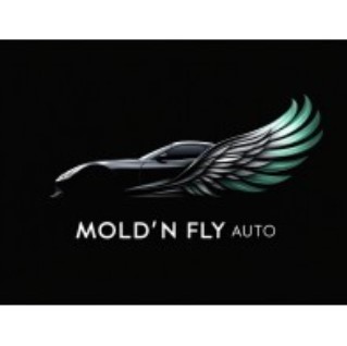 Virtual Inventory Specialist (VIS) At MoldnFly LLC